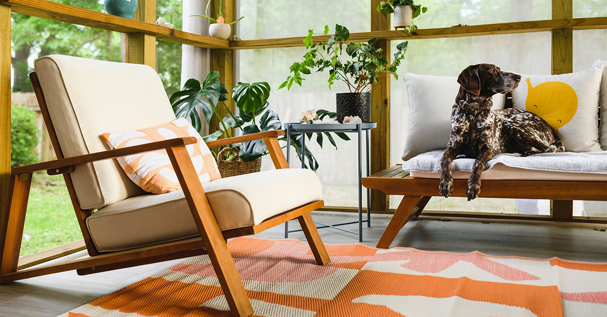Dog on a chair in a Mid-Century Modern screened porch