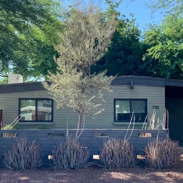 Ralph Haver mid-century modern home in Marlen Grove Phoenix with gray fence, low roofline, carport, desert landscaping, and mature shade trees.