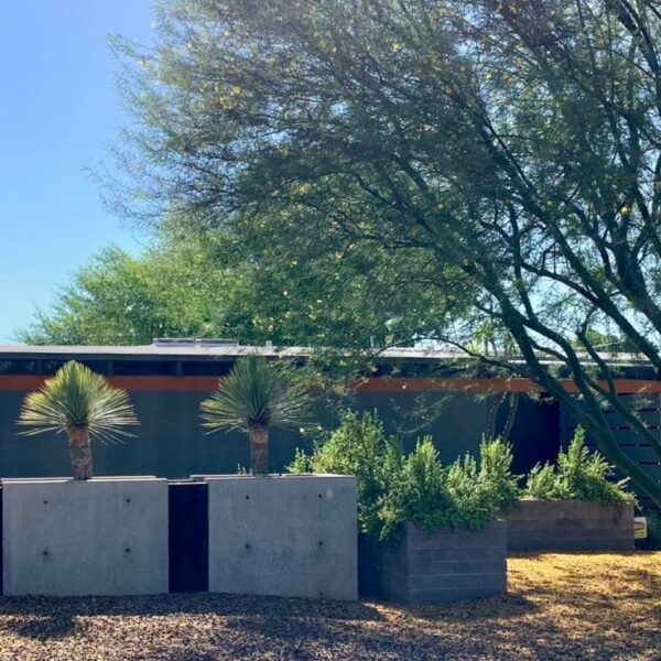 Ralph Haver mid-century modern home in Marlen Grove Phoenix with modern privacy wall, low roofline, clerestory windows, carport, and desert landscaping.