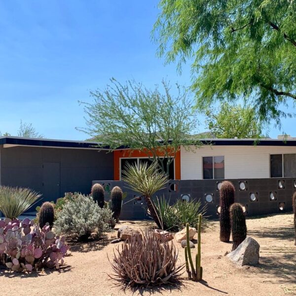Al Beadle mid-century modern home in Paradise Gardens Phoenix with circular breeze block, low roofline, cactus landscaping, desert garden, and shaded entry.