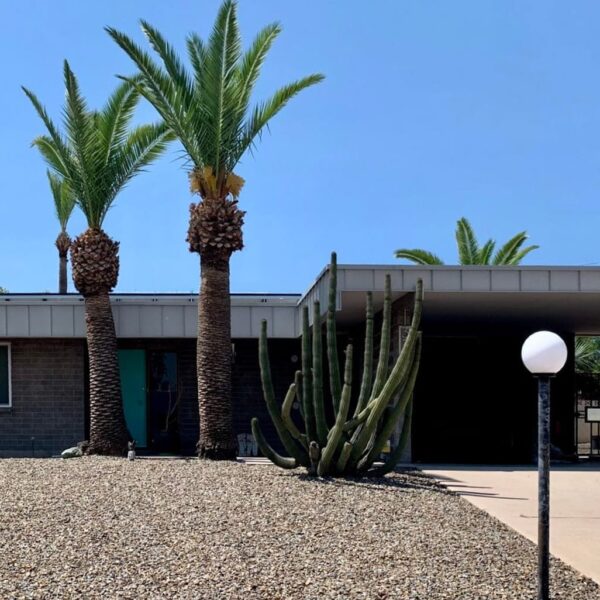 Al Beadle mid-century modern home in Paradise Gardens Phoenix with teal front door, carport, low roofline, cactus landscaping, and palm trees.